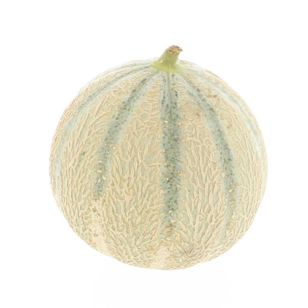 Melon charentais (+/- (1 kg))
